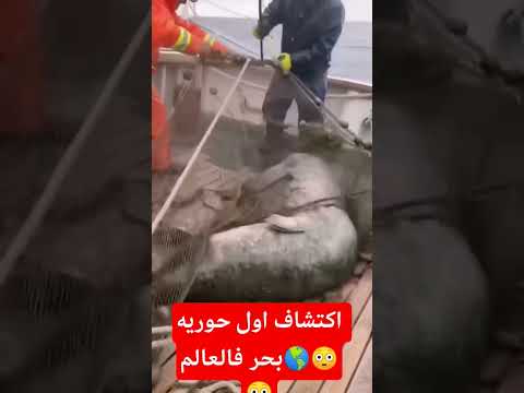 اكتشاف اول حوريه بحر فالعالم اعتني كوميدي حديدان المراه Funny اولادك ضحك لايك نكت