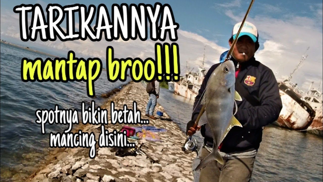 Mancing di pinggir laut,umpan udang-strike baby GT