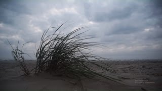 SEASIDE HD - Relaxing nature background music video loop 528hz tuning