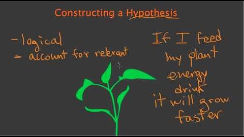 Constructing a Hypothesis