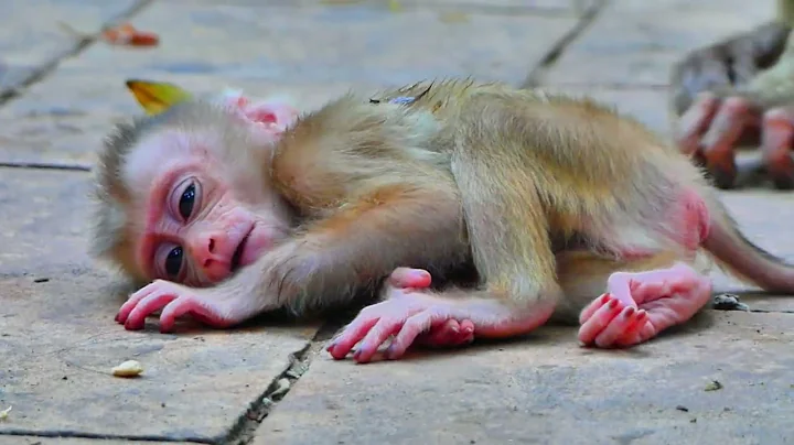 Untitled 2025 09 28 17 51 38 2