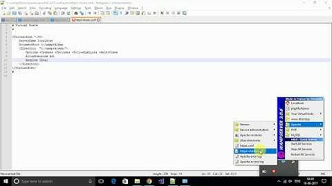 Access Local Host from Mobile or another PC (working trick) WAMP