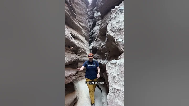 copy_39E39981-1C7B-4EC1-9B7A-583249D15A36.mov