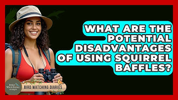What Are The Potential Disadvantages Of Using Squirrel Baffles? - Bird Watching Diaries