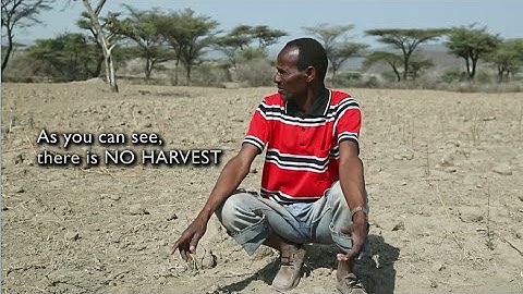 Ethiopia: Transcending the Humanitarian/Development Divide