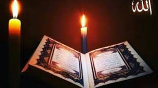 Ya Zeyneb 2020 Status Instagramm