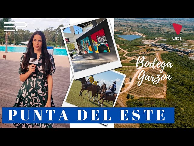 Punta del Este Bodega Garzón Magg's Gallery El Rincón Polo Makeup Yoga y Recetas Saludables