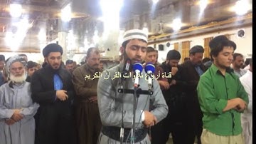 القارئ هلو أمين الكردي