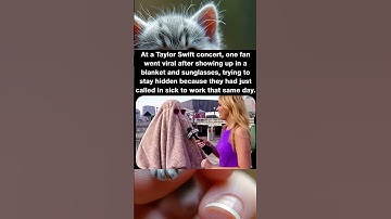 At a Taylor Swift concert one fan went viral after showing up in a blanket and sunglasses trying