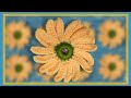 The FASTEST Way to Crochet a Flower for Beginners | Sunflower Easy Crochet
