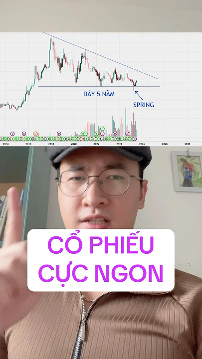 Cổ phiếu này đầu tư dài hạn quá ngon #chungkhoan #dautuchungkhoan #vsa #cophieu #vnindex #vn30