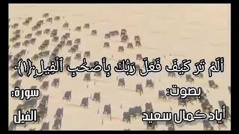 سورة ألفيل برواية حفص عن عاصم