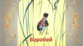 Воробей, Толстой А Н Воробей, Толстой А Н