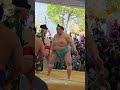 琴櫻 対 隆の勝　神宮奉納大相撲トーナメント準 #大相撲 #sumo #琴櫻#隆の勝
