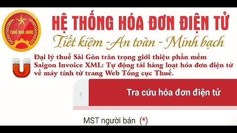 Tự động tải hàng loạt hóa đơn điện tử từ trang Web Tổng cục thuế bằng Saigon Invoice XML.