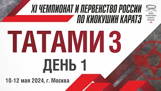 XI Чемпионат и Первенство России по Киокушин Каратэ СККР 2024. Татами 3. День 1