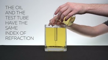 Watch this beaker Disappear@FactB