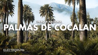 Hacienda Palmas de Cocalan | Electroruta Parques Nacionales de Chile 13/45