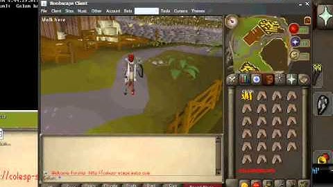 Runescape Making A Private Server Part 2