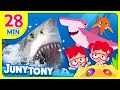 🦈Shark Song + More Sea Animal Songs | ✨Razor Sharp Teeth! | Baby Shark, BEST Shark Songs | JunyTony