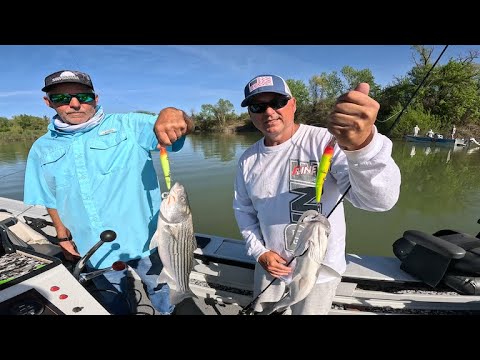 Sacramento River Spring Stripers (4K)