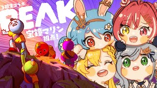 宝鐘マリン(ほうしょうマリン)の配信のサムネイル画像