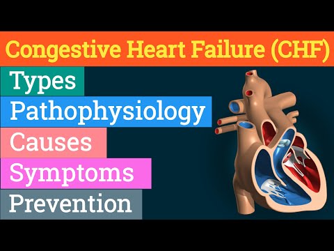 Video: Stazinis širdies Nepakankamumas: Tipai, Priežastys, Stadijos Ir Gydymas