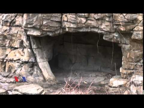 როგორ უვლიან ცხოველებს ზამთარში ვაშინგტონის ზოოპარკში