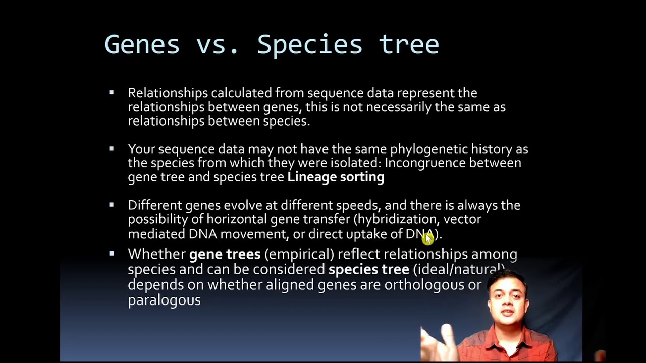 Orthologues, Paralogues, Gene tree, Species tree and Lineage Sorting YouTube Orthologues, Paralogues, Gene tree, Species tree and Lineage Sorting YouTube