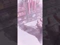 #生活音 #ピンク系統 #伸びろ