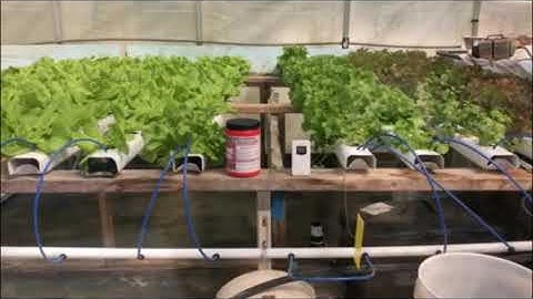 Monitoring Temperature and Humidity In The Greenhouse Remotely