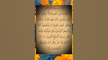Listen Some quran pak .             #سورة -التغابن#قرآن #قران_كريم #تلاوات
