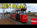 Trams in The Hague/Den Haag, Netherlands (March 2019)