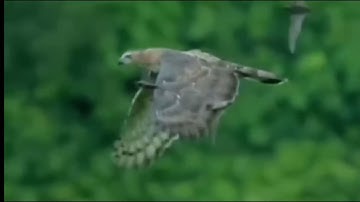 tugas informatika kelas 8e kelompok 6 