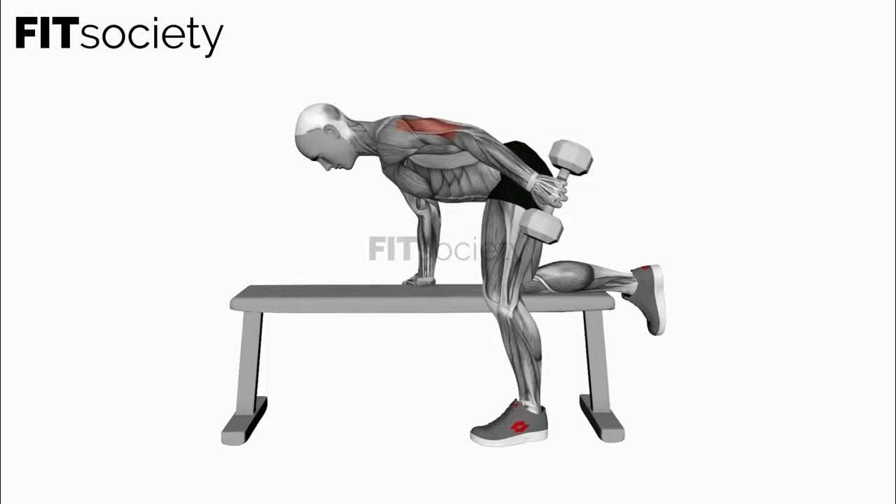Dumbbell Kickback Exercise Fitness Oefening Fitsociety YouTube