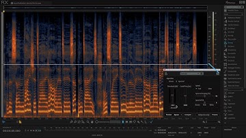 RX 6 | Spectral De-ess Tutorial