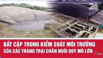 Bất cập trong kiểm soát môi trường của các trang trại chăn nuôi quy mô lớn | VTV24