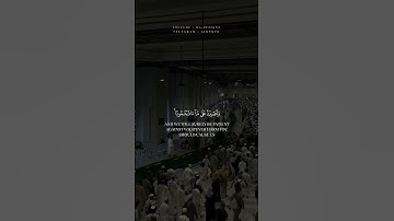 سورة إبراهيم | وما لنا ألا نتوكل على الله/ القارئ عبدالله القرافي ✨ .
