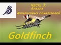 Golgfinch: Анализ финансовых показателей компании