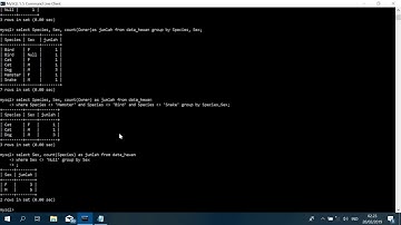 Database menggunakan MySQL Part 4 - Membuat database Pegawai dan Penitipan Hewan