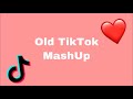 Old TikTok MashUp (tiktok songs we forgot about)