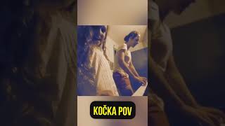 Thumbnail for JAK VIDÍ SVĚT ZVÍŘATA? 🤔