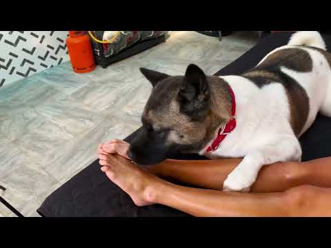 Funny video of a dog licks my legs! I decided to do my makeup Barbie style
