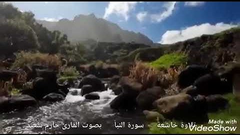 سوره النبأ كما لم تسمعها من قبل بصوت القارئ حازم سعيد