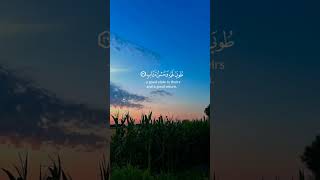 We Tried Learning The Quran Online