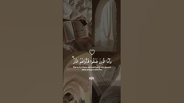 من اجمل تلاوه للقارئ عبدالرحمن مسعد🎧🤍 #عبدالرحمن_مسعد #تلاوة #القرآن #القران_الكريم