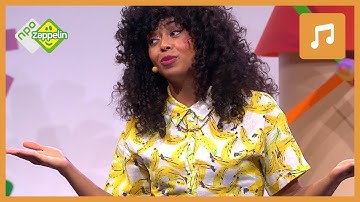 OPGERUIMD STAAT NETJES | Kinderliedje uit de Wereld van Zappelin | NPO Zappelin