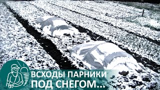 ❄ Огород Гордеевых В Начале Апреля | Заморозки И Снег На Первых Посевах И Парниках