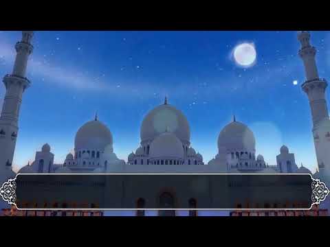 من روائع تلاوات القارئ عبدالرحمن مسعد ما تيسر من سورة المؤمنون    