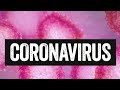 Understand: What is the coronavirus?